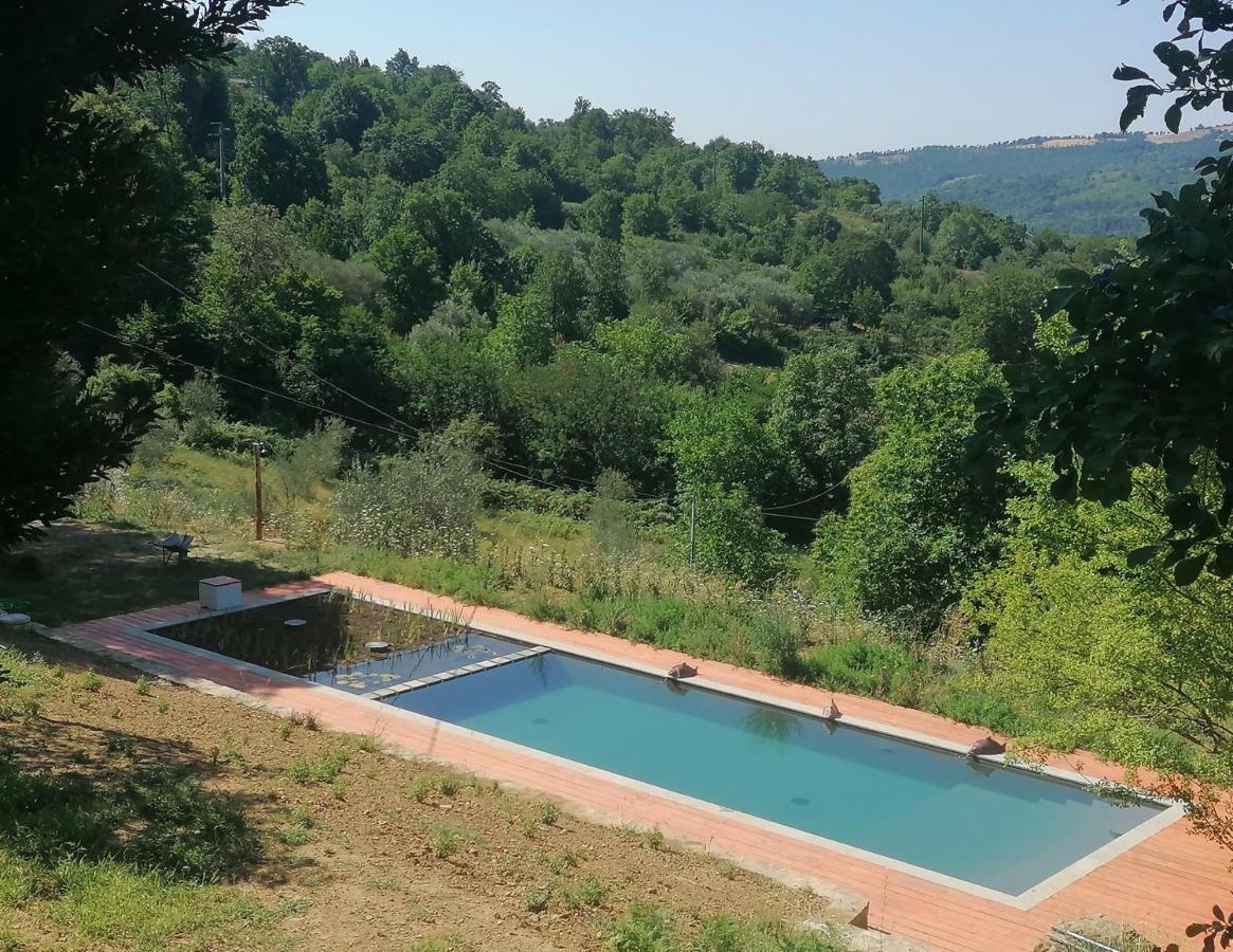 Podere Di Maggio - Glamping Tent 3 Санта-Фйора Екстер'єр фото