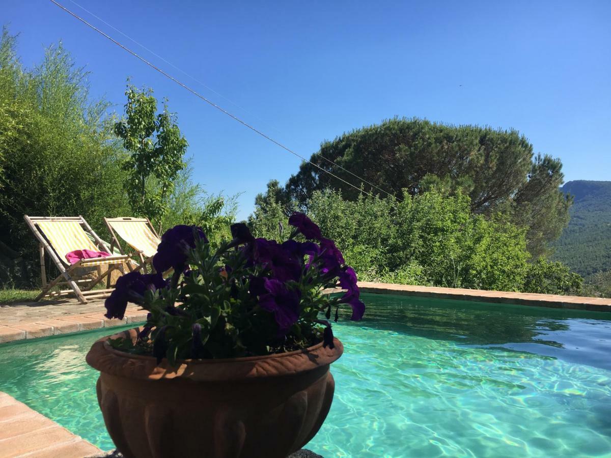 Podere Di Maggio - Glamping Tent 3 Санта-Фйора Екстер'єр фото